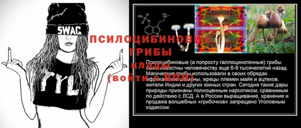 дмт Осинники