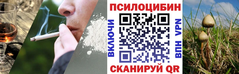 ссылка на мегу как зайти  Андреаполь  Псилоцибиновые грибы MAGIC MUSHROOMS  где продают наркотики 